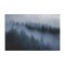 Stupell Industries Fog Filled Trees Landscape Canvas Wall Art Design by Nathan Larson